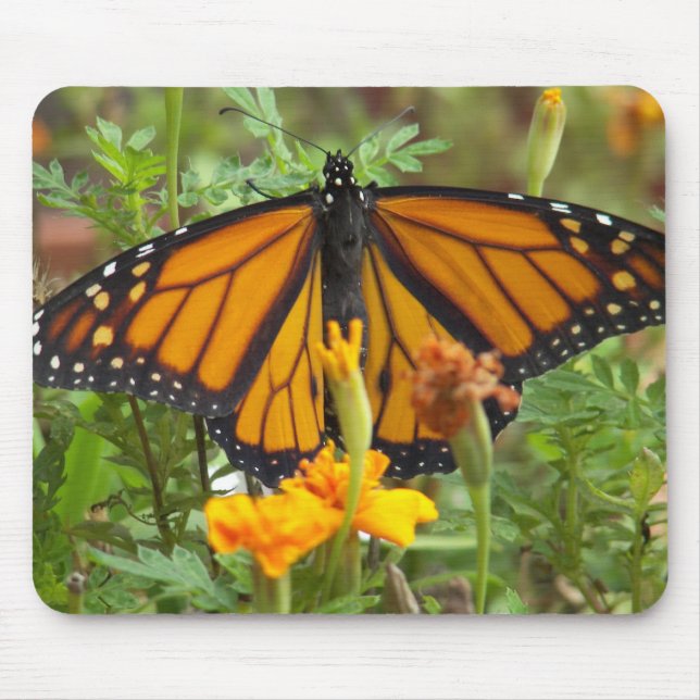 Min Monarch Butterfly-moussepad Musmatta (Framsidan)