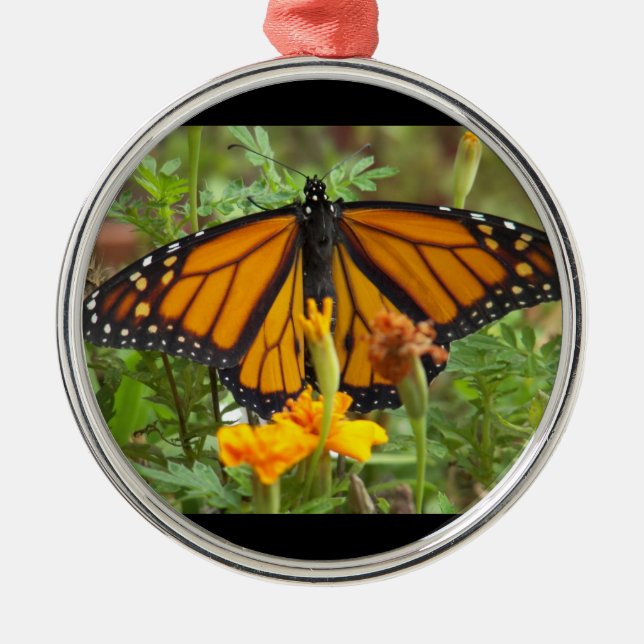 Min Monarch Butterfly-primiga runda ornament (Framsidan)