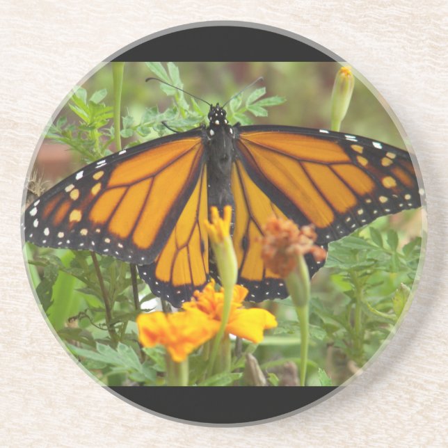 Min Monarch Butterfly-underlägg Underlägg Sandsten (Framsidan)