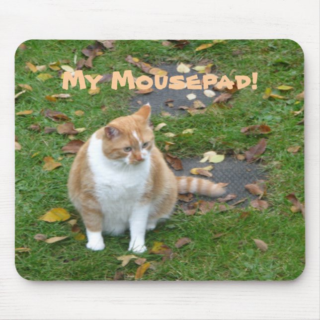 Min Mousepad Musmatta (Framsidan)