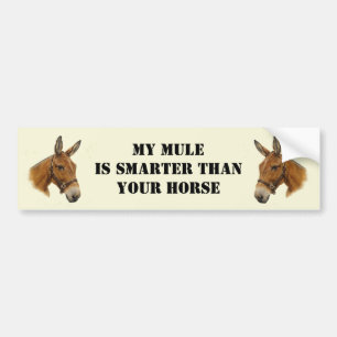 Min Mule är mer smart än din hästbildekal Bildekal