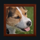 Min Namn är Skitch Gift Box Minnesask<br><div class="desc">Parson Jack Russell Terrier Gift Box Anpassningsbar Gift Box Designs av Janz © 2011 Jan Fitzgerald. Alla höger reserverade. Janz Fine Art Studio-funktioner Design, Artwork & Photography av Jan & Michael Fitzgerald. Anpassa den här designen genom att välja teckensnitt, teckensnitt, färg, text och text. Kontakta mig gärna om du behöver...</div>