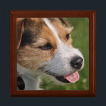 Min Namn är Skitch Gift Box Minnesask<br><div class="desc">Parson Jack Russell Terrier Gift Box Anpassningsbar Gift Box Designs av Janz © 2011 Jan Fitzgerald. Alla höger reserverade. Janz Fine Art Studio-funktioner Design, Artwork & Photography av Jan & Michael Fitzgerald. Anpassa den här designen genom att välja teckensnitt, teckensnitt, färg, text och text. Kontakta mig gärna om du behöver...</div>