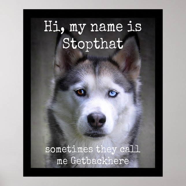 Min Namn stoppar det där fina Hyper Siberian husky Poster (Framsidan)