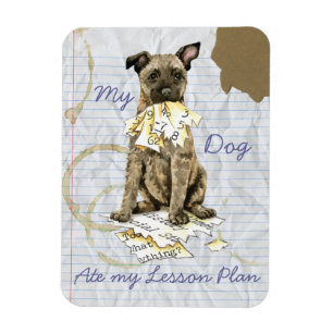 Min nederländska shepherd Ate my Lesson Plan Magnet