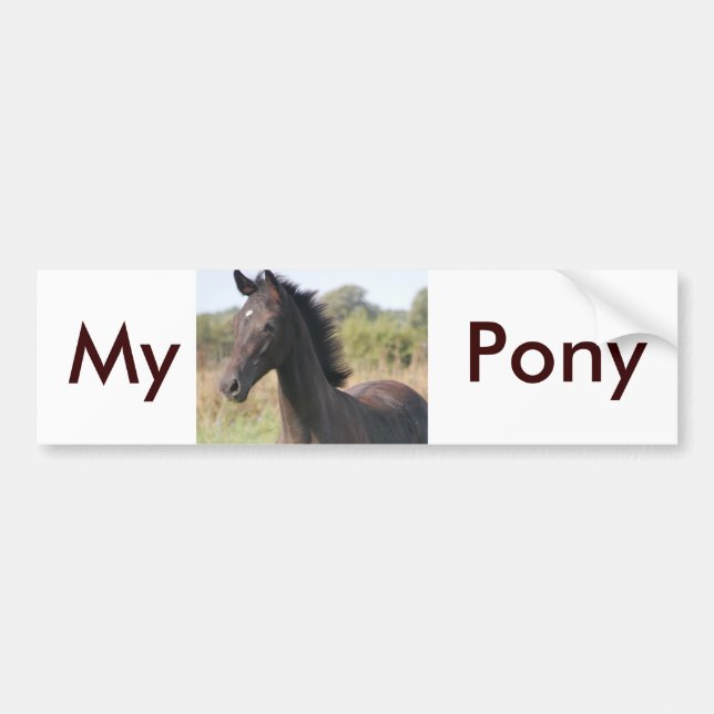 Min New Pony Bildekal (Framsidan)