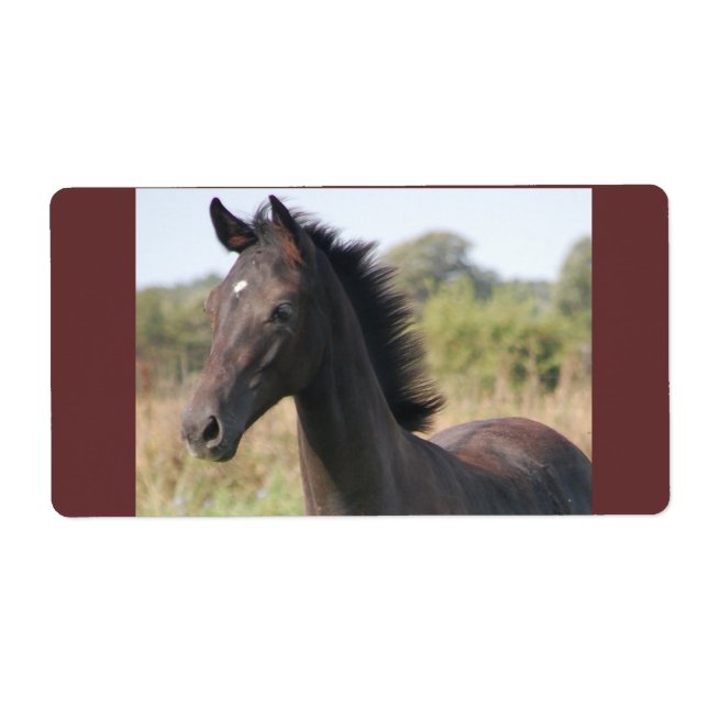 Min New Pony Fraktsedel (Framsidan)