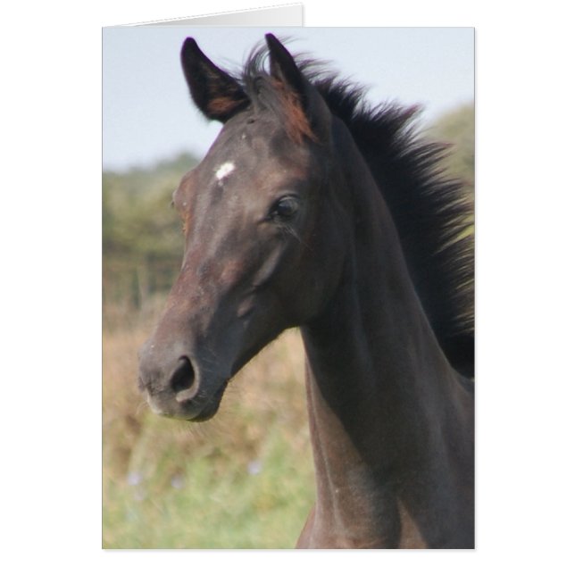 Min New Pony Hälsningskort (Framsidan)