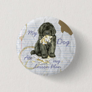Min Newfoundland Ate min Lesson-plan Knapp