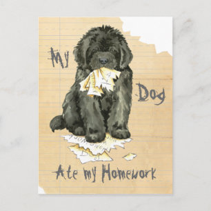 Min Newfoundland äter min läxa Vykort
