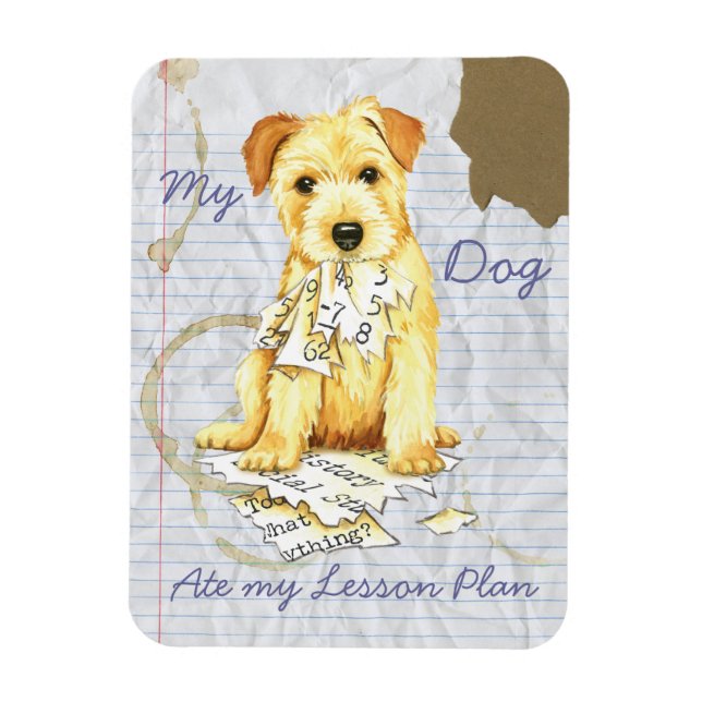 Min Norfolk Terrier Ate Min lektionsplan Magnet (Vertikal)