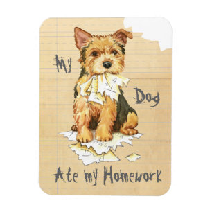 Min norwich Terrier Ate min hemläxa Magnet