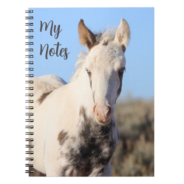 Min Notes Vild Horse Thora Anteckningsbok (Framsidan)