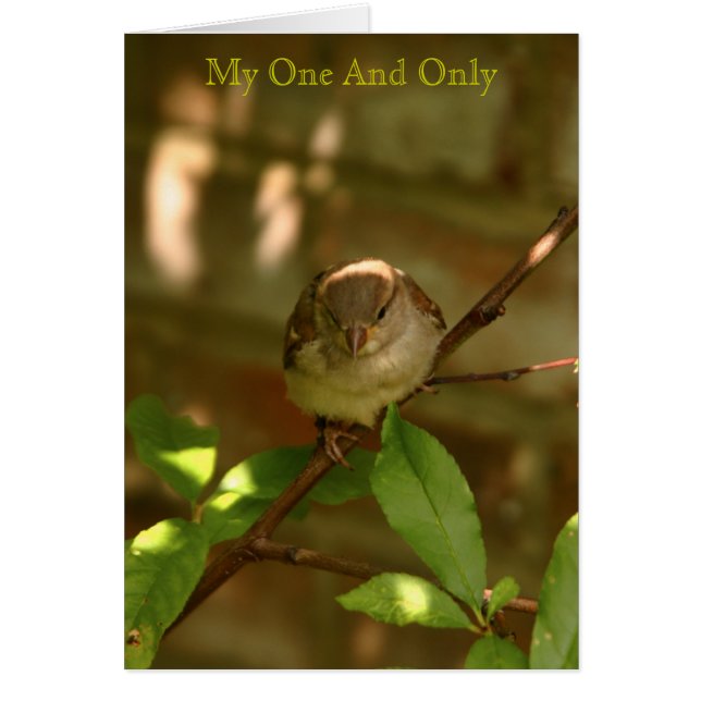 Min och bara hälsningskort (Framsidan)