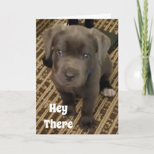 MIN ÖNSKAN ÄR EN "KISS" FRÅN DIG PÅ DIN *BIRTHDAY* KORT