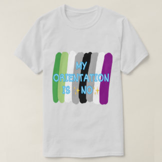 "Min orientering är nej" Aromantisk Ace Pride Shir T Shirt