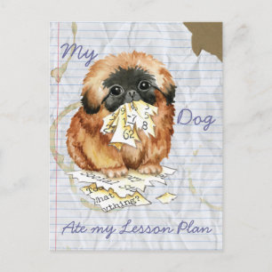 Min Pekingese Ate min Lesson-plan Vykort