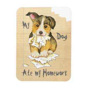 Min Pembroke Welsh Corgi Ate min hemläxa Magnet