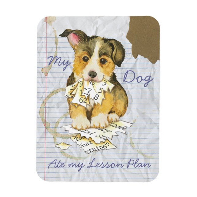 Min Pembroke Welsh Corgi Ate min lektionsplan Magnet (Vertikal)