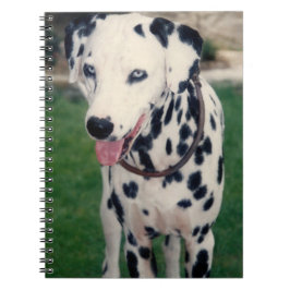 Min Pet Friend Dalmatian-Anpassningsbar Anteckningsbok