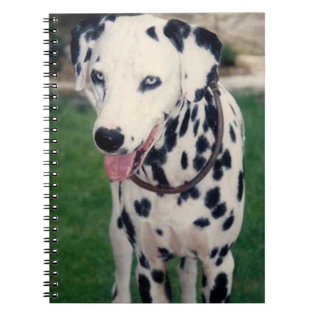 Min Pet Friend Dalmatian-Anpassningsbar Anteckningsbok (Framsidan)