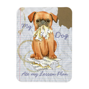 Min petit Brabancon Ate My Lesson Plan Magnet