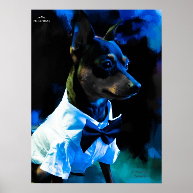 MIn Pin i Blue Poster (Framsidan)