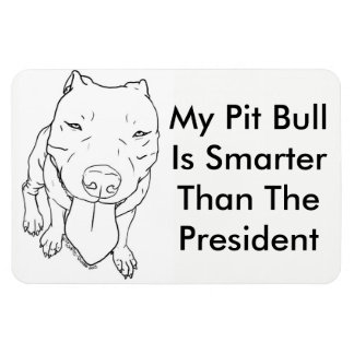 Min Pit Bull är smartare än president Magnet
