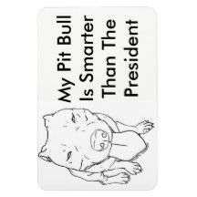 Min Pit Bull är smartare än president Magnet