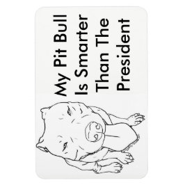 Min Pit Bull är smartare än president Magnet