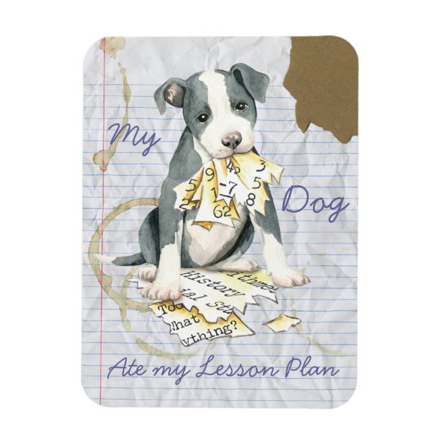 Min Pit Bull Ate My Lesson Plan Magnet (Vertikal)