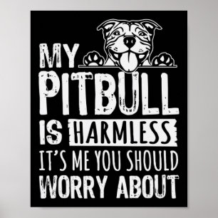 Min Pitbull är inte så farlig att du borde oroa di Poster