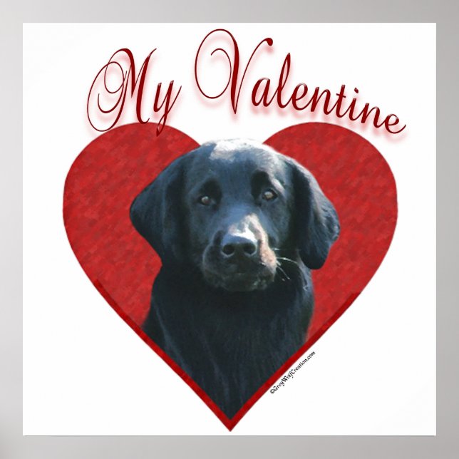 Min platta, Jackat Retriever Valentine Poster (Framsidan)