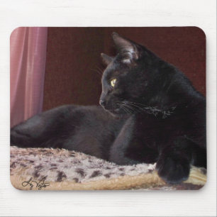 Min pojke, Charlie Mousepad Musmatta