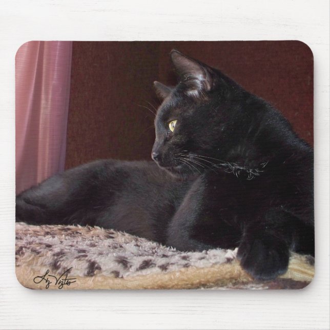 Min pojke, Charlie Mousepad Musmatta (Framsidan)