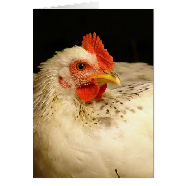 Min pojke hälsningskort (Framsidan)