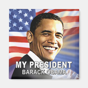 Min presidentmagnet (flagga) magnet