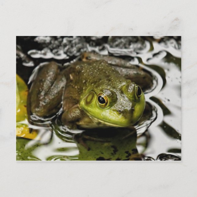 Min prins vykort (Framsida)