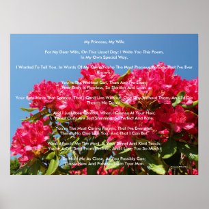 Min prinsessa, min fru poster