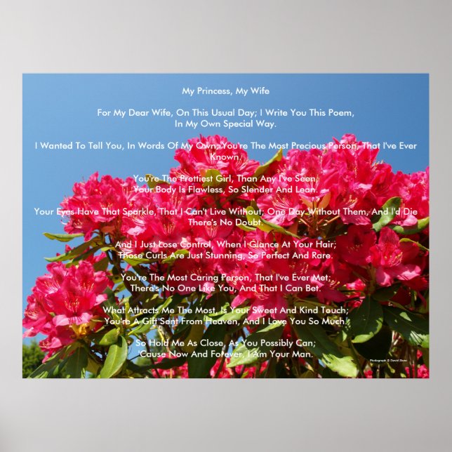 Min prinsessa, min fru poster (Framsidan)