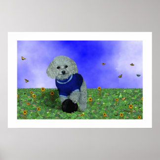 Min pudel och hans boll. poster