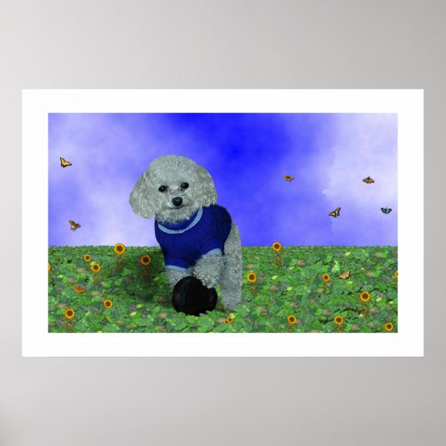 Min pudel och hans boll. poster (Framsidan)