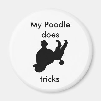 Min pudel trillar magnet