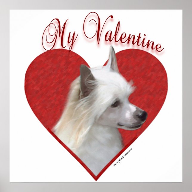 Min pulderpuff kinesisk kränkt Valentine Poster (Framsidan)