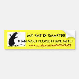 MIN RÅTTA ÄR MER SMART, ÄN MEST FOLK… BILDEKAL