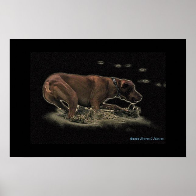 Min Rhett Poster (Framsidan)