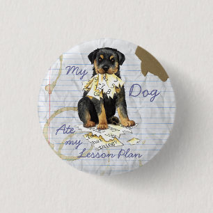 Min Rottweiler Ate Min Lesson-plan Knapp