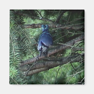 min saker3 013 magnet