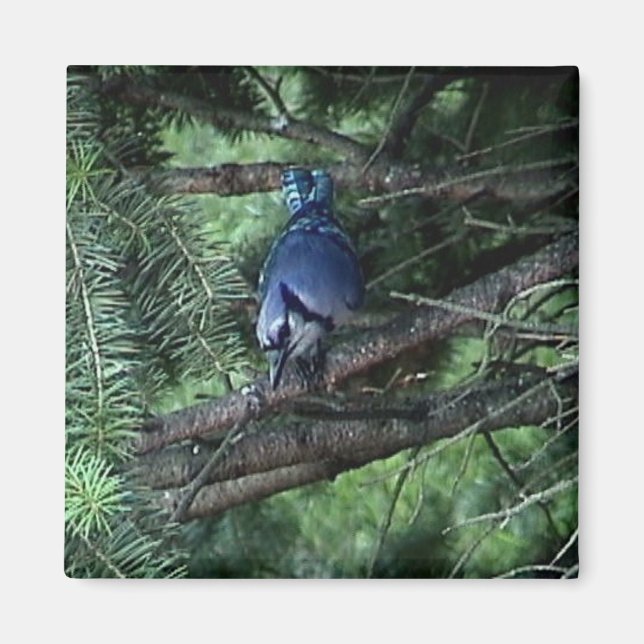 min saker3 013 magnet (Framsidan)