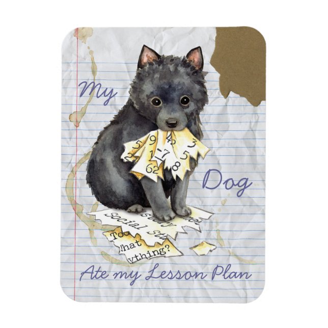 Min Schipperke Ate My Lesson Plan Magnet (Vertikal)
